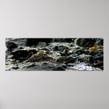 Bond Falls - Upper Peninsula Print