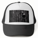Boné Freeride Wood hats