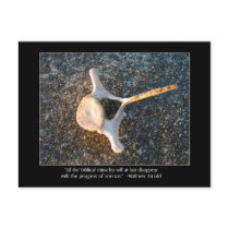 Bone with Matthew Arnold Quote Post Card
