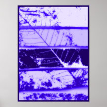 Bones Poster