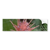 Boney Flowers Bumper Stickers