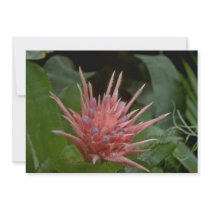 Boney Flowers Personalized Invites
