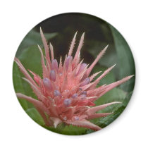 Boney Flowers Refrigerator Magnet