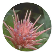 Boney Flowers Round Stickers
