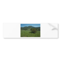 Boney Mouintain Bumper Stickers