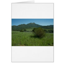 Boney Mouintain Card