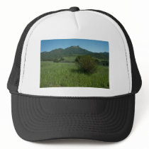 Boney Mouintain Mesh Hat