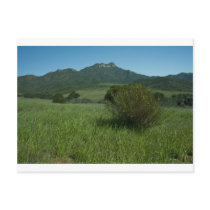 Boney Mouintain Postcards