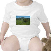 Boney Mouintain T Shirts