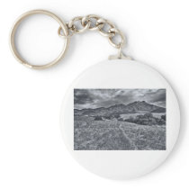 Boney Mountain Key Chains