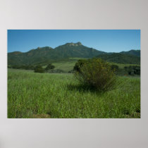 Boney Mountain Posters