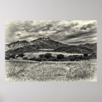 Boney Mountain Vista Poster