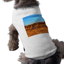 Bong Bridge from below Pet T Shirt