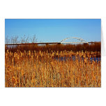 Bong Bridge from Grassy Point Card