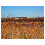 Bong Bridge from Grassy Point flyers