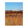 Bong Bridge from Grassy Point Postcards