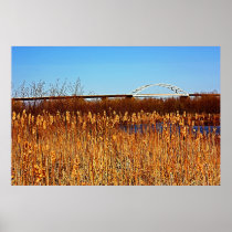 Bong Bridge from Grassy Point Posters