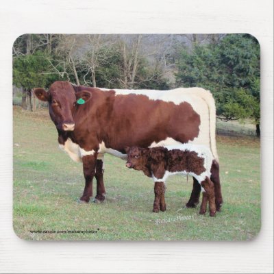 Bonnie&Bella Mousepad by MakaraPhotos