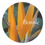 Bonnie Bird of Paradise Name Label sticker