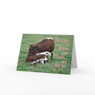 Bonnie & Blessing BY 4-z Cards by MakaraPhotos