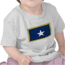 Bonnie Blue Flag First Texas Cofederate Volunteers