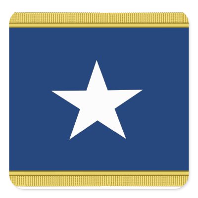 Bonnie Blue Flag First Texas Cofederate Volunteers Square Stickers by wallarts