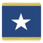 Bonnie Blue Flag First Texas Cofederate Volunteers stickers