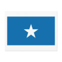 Bonnie Blue Flag Postcard