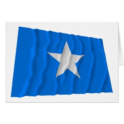 Bonnie Blue Flag / West Florida Republic Flag Cards by Vexillophile