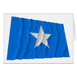 Bonnie Blue Flag / West Florida Republic Flag Cards