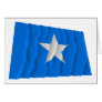 Bonnie Blue Flag / West Florida Republic Flag Cards
