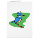 Bonnie Blue Jay Cards