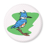 Bonnie Blue Jay Refrigerator Magnet