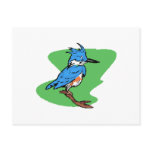 Bonnie Blue Jay Postcards