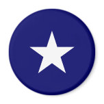 Bonnie Blue magnets