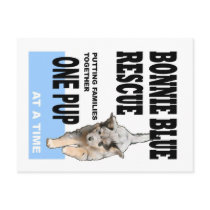 Bonnie Blue Rescue Postcards