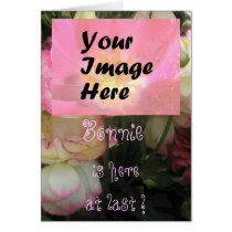 Bonnie Card