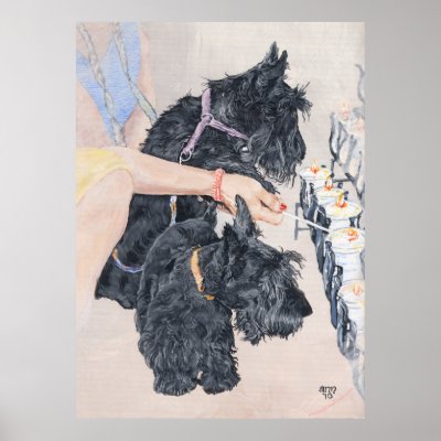 Bonnie Francu Rescue Scottish Terrier Poster by MaggieRossScotties