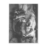 Bonnie Prince Charlie  in Hiding Postcard