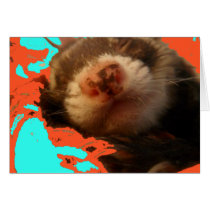Bonnie Sleeping Cards