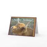 BonnieG- Birthday-customize Cards