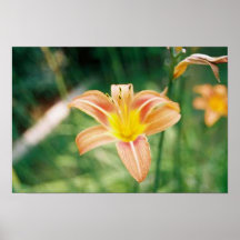 "Bonnie's Flower" Print