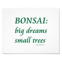 Bonsai , Big Dreams Small Trees Design Photograph