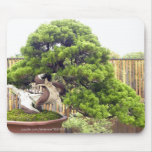 Bonsai/Chinese Potted Landscape mousepads