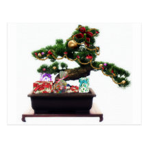 Bonsai Christmas Tree Post Card