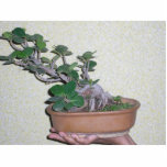 bonsai photo sculptures