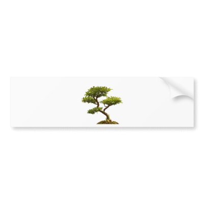 Bonsai plant bumper stickers by joxxxxjo
