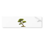Bonsai plant bumper stickers
