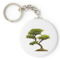 Bonsai plant keychains