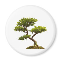 Bonsai plant magnets